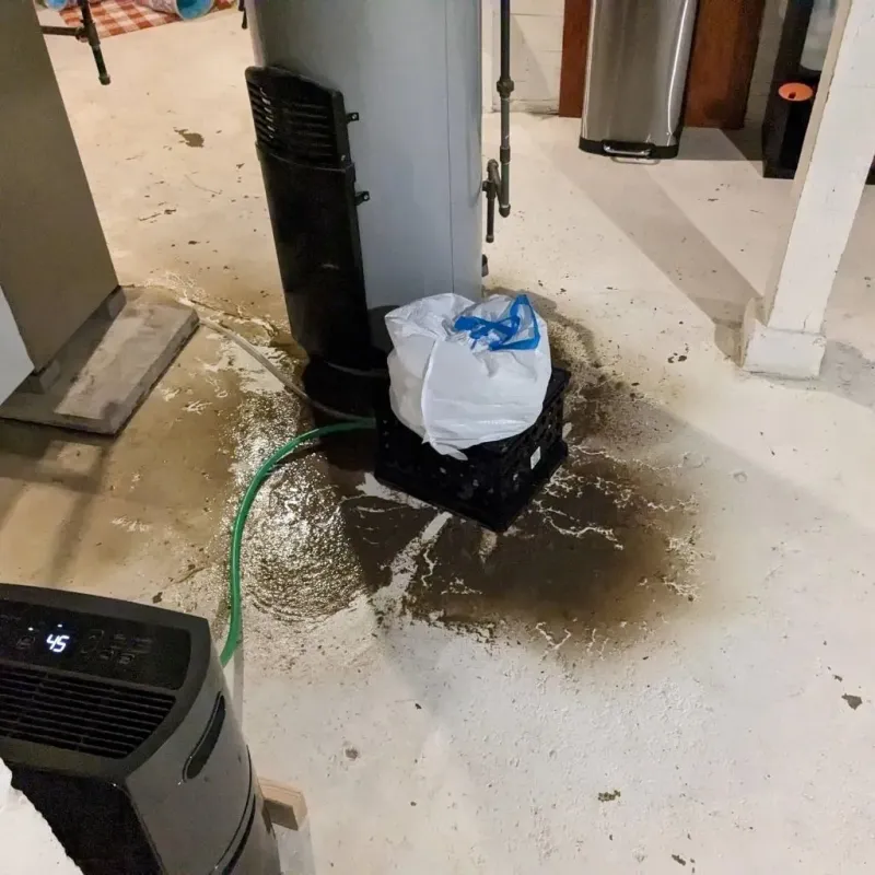 Sewage Backup Cleanup Service in Allendale County, SC